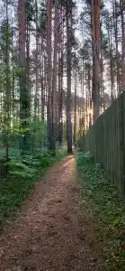Домики на Волге - 10