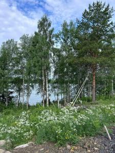 Юрта Лахти - 41