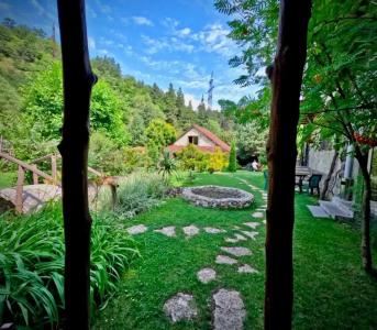 Eco Garden - 15