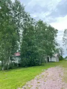 Ялгора - 49