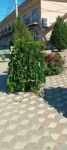 Вилла Ми-Ан-Со - 17