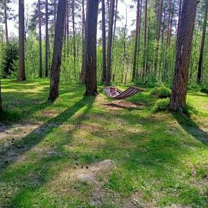 Мичуринский Дворик - 28