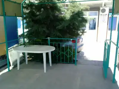 Дельфин - 34