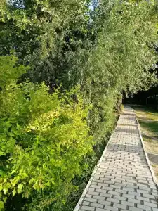 Марафон - 17