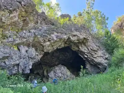 Агария - 11