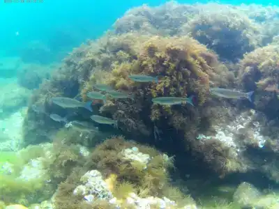 Экстрим Центр - 15