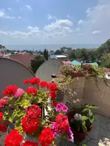 У Роберта - 13