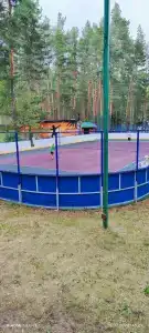 Кусторка - 21