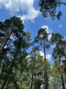 Озеро Свято - 10