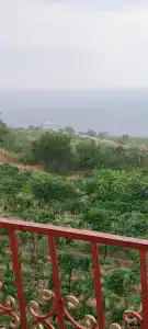 Вояж - 12
