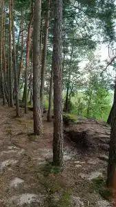 Белое озеро - 79