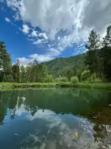 Закуток - 13