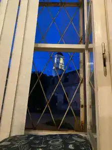 Пихта - 6