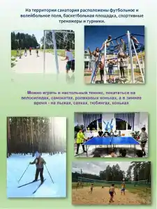Чуварлейский бор - 33