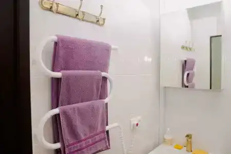 Сильф - 24