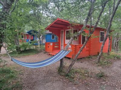 Эколоджия - 37