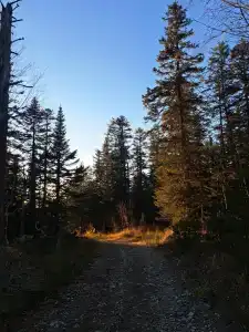 Эвен - 14