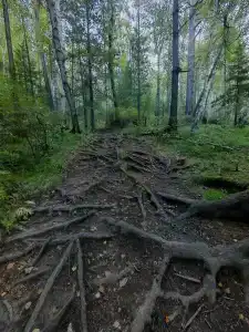 Вышка - 49