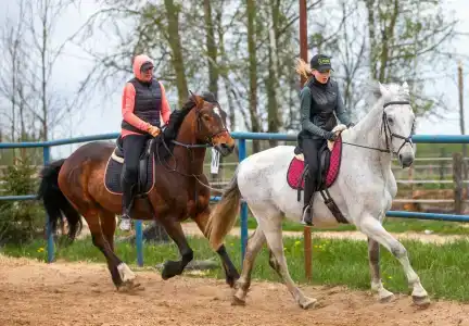 Храброво - 28