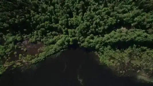 Глэмпинг Shanti Home - 18