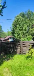 Изумрудный лес - 14