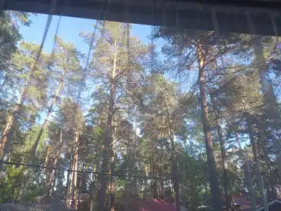 Шепот Вашаны - 39