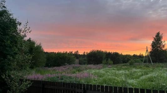 Рай в шалаше - 12