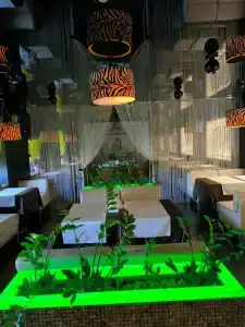 Апельсин - 0