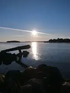 Приют - 15