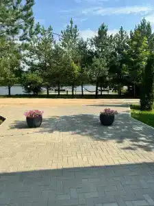 Подснежники - 11
