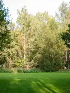 БобрХутор - 34