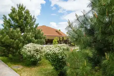 База отдыха Palace Resort Венеция - 54