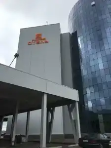 Sunflower by Zont - 15