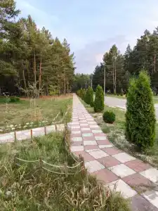 Роза ветров - 30
