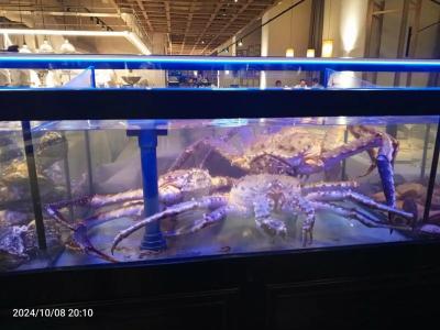 Сити Отель  - 87