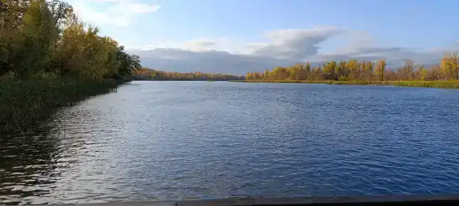 Роза Ветров - 55