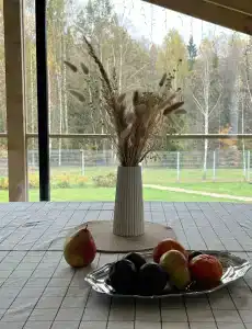 ДаблДача Каштан - 12