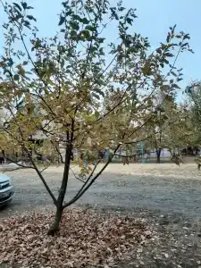 Автомобилист - 28