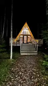 Лесная сказка - 51