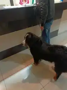 Комплекс Тройка - 38