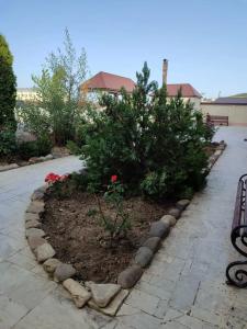 МИКА ЦЕНТР - 47