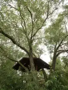 Гостевой дом в живописном месте на берегу реки - 4