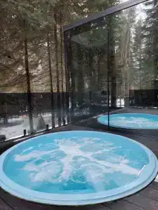 Magic Forest - 4