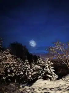 Медвежье урочище - 19