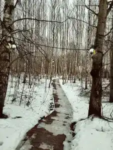 Рассвет - 71