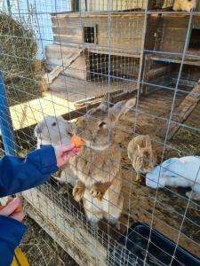 Александровский спас - 64