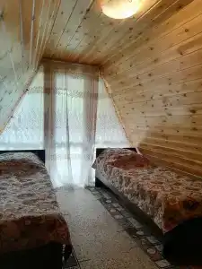 Сентелек - 12