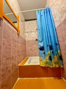 Новые соседи - 29
