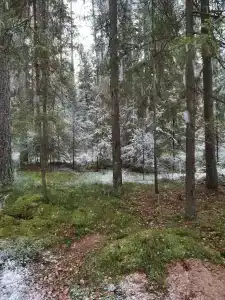 Долина Парк - 49