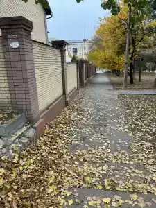 Династя - 18